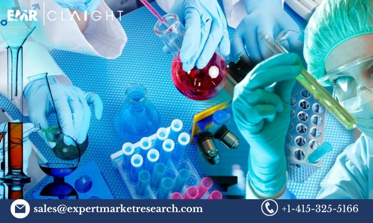 Read more about the article Global Oncology Based In-Vivo Cro Market Size, Share, Price, Trends, Growth, Analysis, Report and Forecast 2024-2032