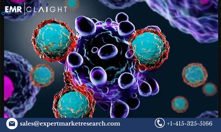 Read more about the article Global PD-1 and PD-L1 Inhibitors Market Size, Share, Price, Trends, Growth, Analysis, Report and Forecast 2024-2032