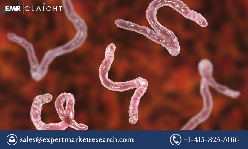 Read more about the article Parasitic Diseases Therapeutics Market Size, Share, Price, Trends, Growth, Analysis, Report and Forecast 2024-2032