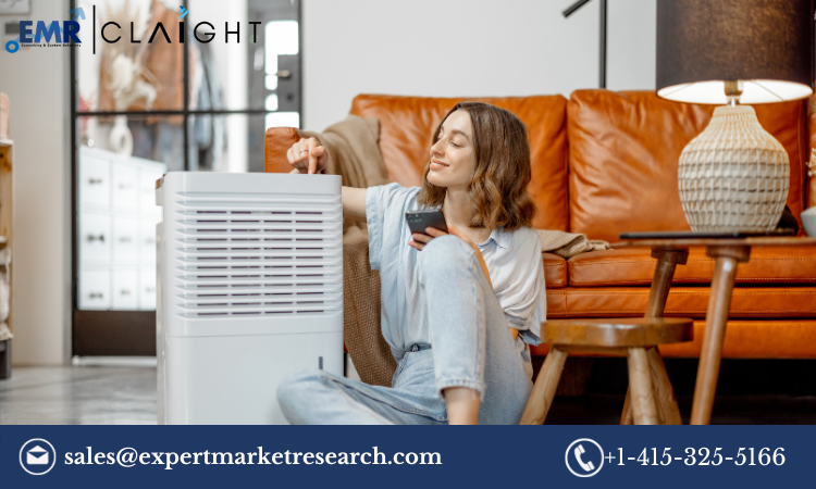 Read more about the article Portable Air Purifier Market Size, Share, Growth Report and Forecast 2024-2032