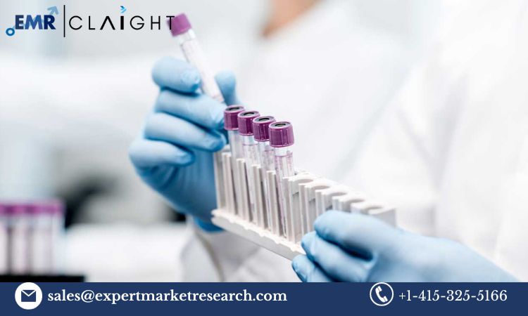 Read more about the article Global Precision Oncology Market Size, Share, Price, Trends, Growth, Analysis, Report and Forecast 2024-2032