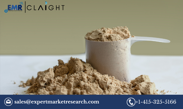 Read more about the article Protein Supplement Market Size, Share, Growth Report and Forecast 2024-2032