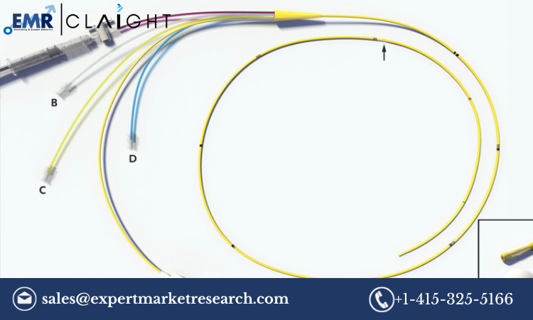 Read more about the article Global Pulmonary Artery Catheter Market Size, Share, Report and Forecast 2024-2032