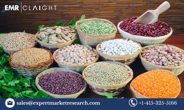 Read more about the article Global Pulses Market Key Players, Size, Trends, Growth, Report, Share, Forecast 2024-2032