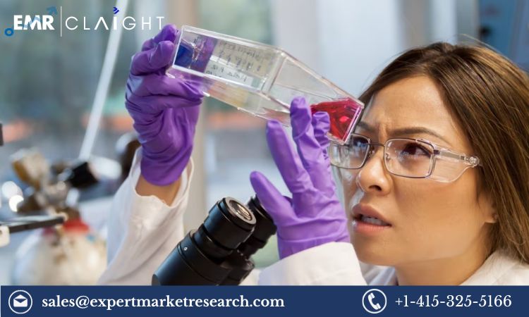 Read more about the article Global Recombinant Cell Culture Supplements Market Size, Share, Price, Trends, Growth, Analysis, Report and Forecast 2024-2032