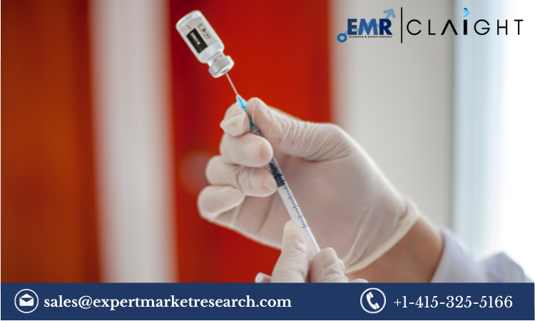 Read more about the article Smart Syringe Market Size, Share, Growth Report and Forecast 2024-2032