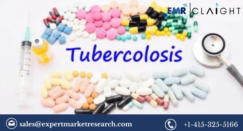 Read more about the article Tuberculosis Treatment Market Size, Share, Report and Forecast 2024-2032