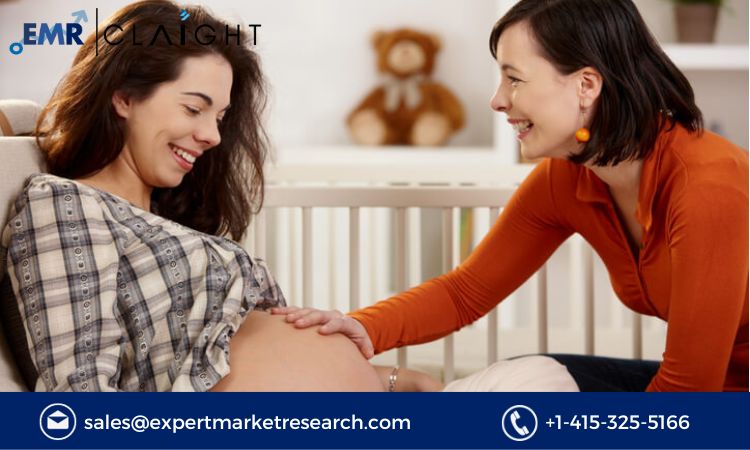 Read more about the article Global Surrogacy Market Size, Share, Report and Forecast 2024-2032