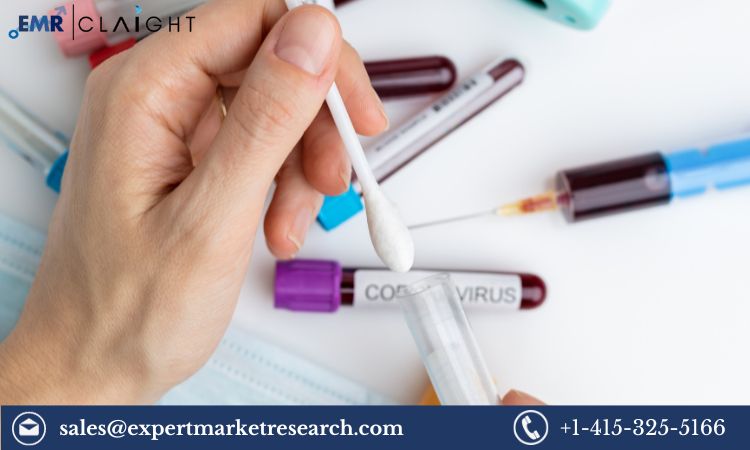 Read more about the article Global Swab and Viral Transport Medium Market Size, Share, Price, Trends, Growth, Analysis, Report and Forecast 2024-2032