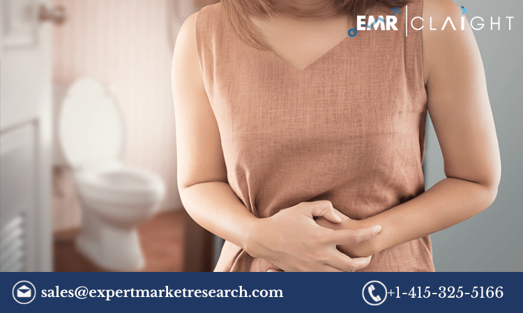 Read more about the article Traveler’s Diarrhea Treatment Market Size, Share, Report and Forecast 2024-2032