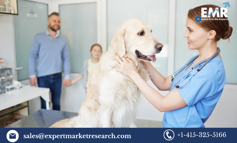 Read more about the article Global Veterinary Reference Laboratory Market Size To Grow At A CAGR Of 9% In The Forecast Period Of 2024-2032