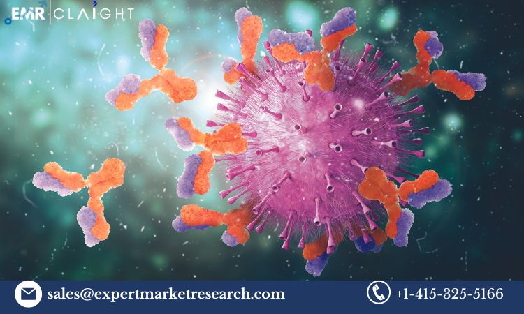 Read more about the article Global Viral Inactivation Market Size, Share, Price, Trends, Growth, Analysis, Report and Forecast 2024-2032