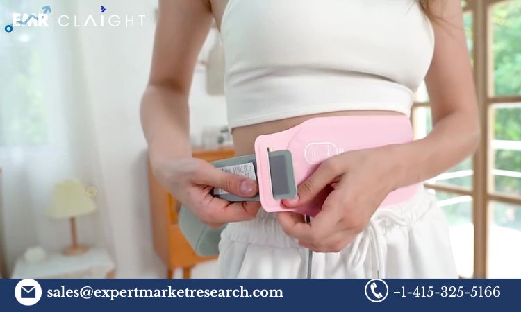 Read more about the article Global Wearable Pregnancy Devices Market Size, Share, Price, Trends, Growth, Analysis, Report and Forecast 2024-2032