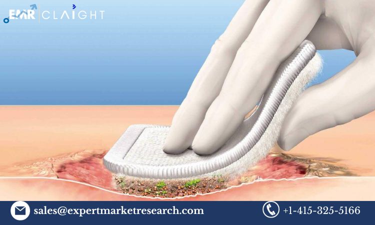 You are currently viewing Global Wound Debridement Market Size, Share, Price, Trends, Growth, Analysis, Report and Forecast 2024-2032