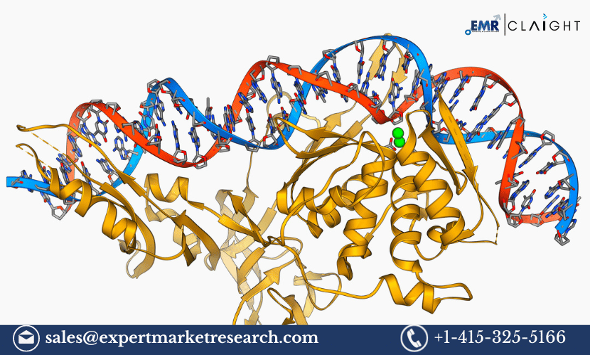 Read more about the article Global Alcohol Enzymes Market Share, Size, Growth, Demand, Trends, Key Players, Report, Analysis, Forecast 2024-2032