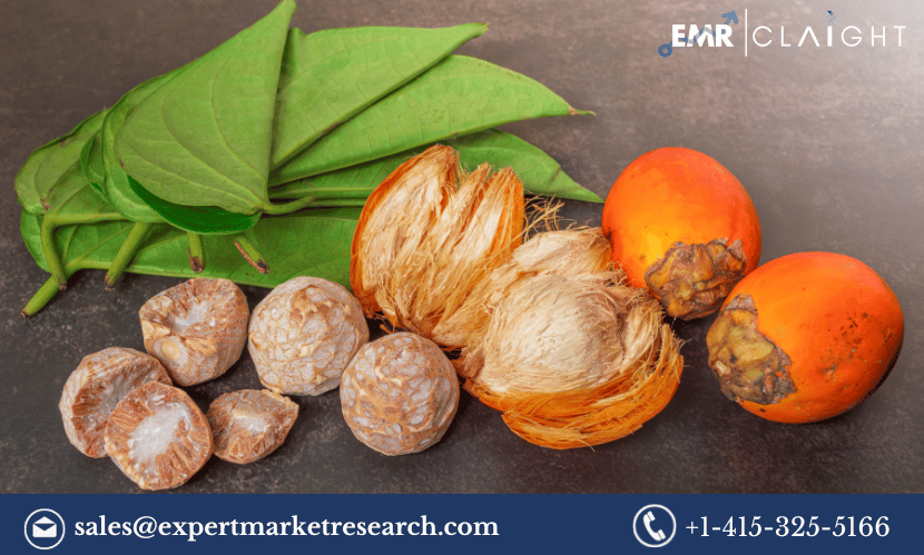 Read more about the article Global Areca Nut Market Size, Share, Growth, Trends, Demand, Key Players, Report, Analysis, Forecast 2024-2032