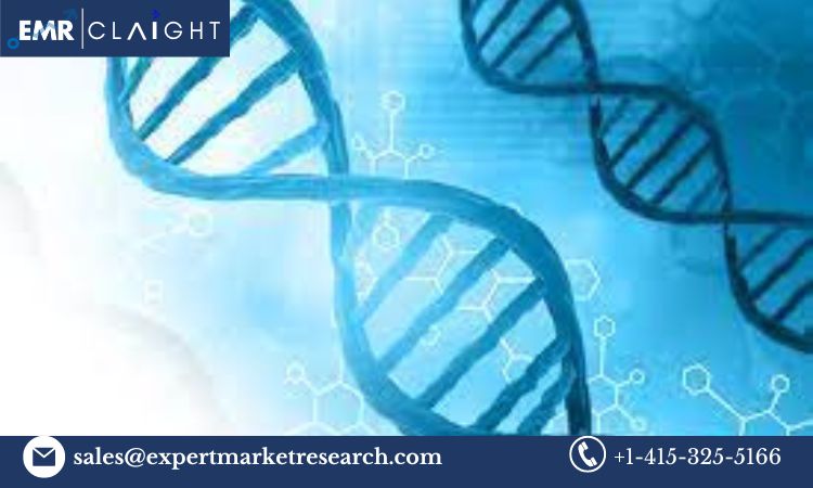 Read more about the article India Biosimilar Market Size, Share, Trends, Report and Forecast 2024-2032