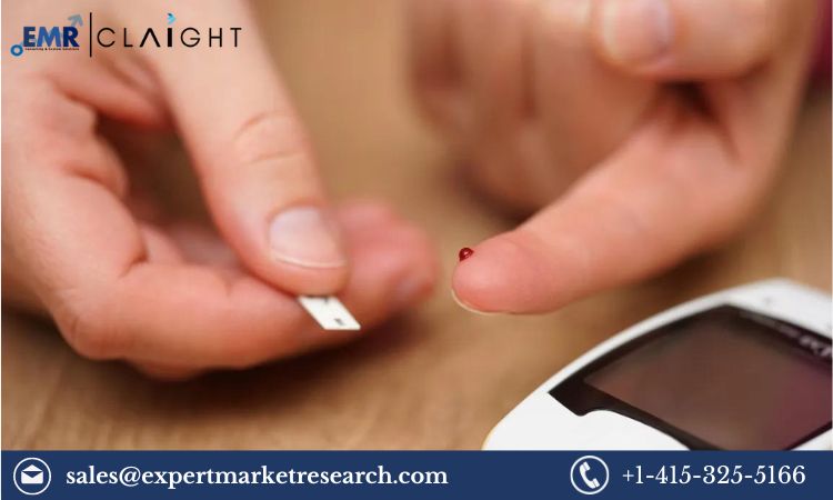 Read more about the article Global Blood Glucose Test Strip Market Size, Share, Price, Trends, Growth, Analysis, Report and Forecast 2024-2032