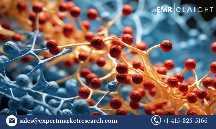 Read more about the article Global Glycobiology Market Size, Share, Price, Trends, Growth, Analysis, Report and Forecast 2024-2032