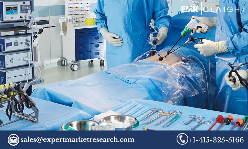 Read more about the article India Minimally Invasive Surgical Devices Market Size, Share, Price, Trends, Growth, Analysis, Report and Forecast 2024-2032