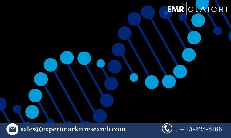 Read more about the article Global Isothermal Nucleic Acid Amplification Technology Market Size, Share, Price, Trends, Growth, Analysis, Report and Forecast 2024-2032