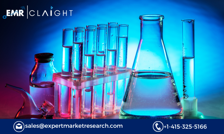 Read more about the article Laboratory Glassware Market Size, Share, Growth Report and Forecast 2024-2032