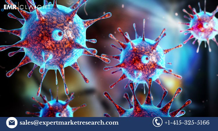 Read more about the article Global Lentiviral Vectors Market Size, Share, Price, Trends, Growth, Report and Forecast 2024-2032