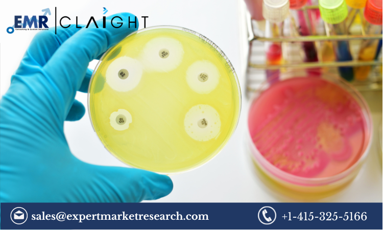 Read more about the article MRSA Testing Market Size, Share, Growth Report and Forecast 2024-2032