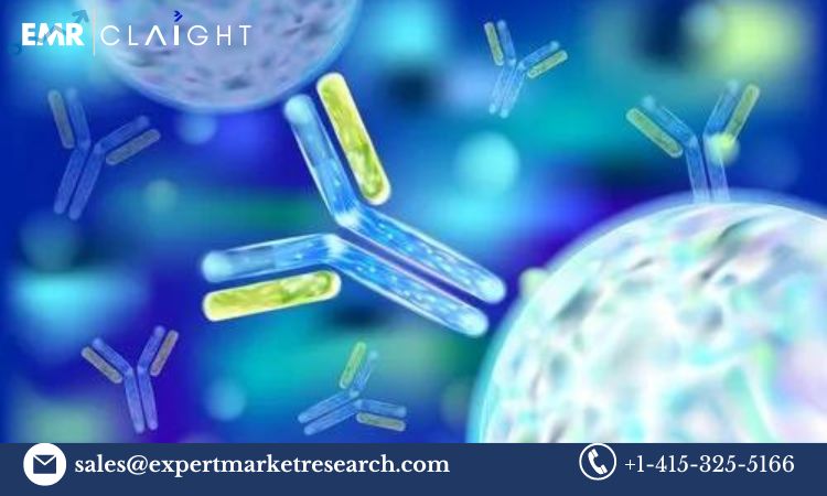 Read more about the article Global Mammalian Polyclonal IgG Antibody Market Size, Share, Price, Trends, Growth, Analysis, Report and Forecast 2024-2032