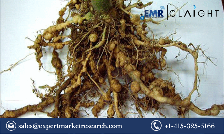 Read more about the article Nematicides Market Size, Share, Growth Report and Forecast 2024-2032