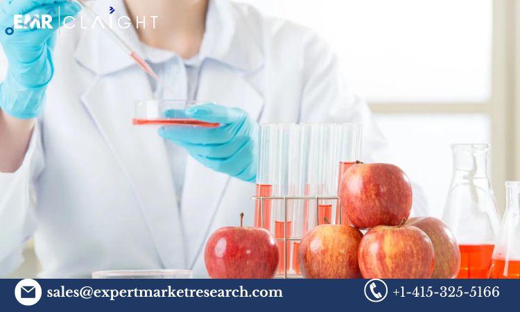 Read more about the article North America GMO Testing Market Size, Share, Price, Trends, Growth, Analysis, Report and Forecast 2024-2032