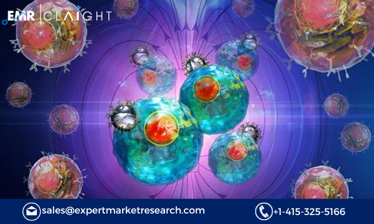 Read more about the article Cell Separation Technologies Market Size, Share, Report and Forecast 2024-2032