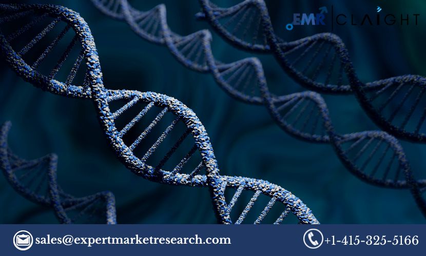 Read more about the article Global Optical Genome Mapping Market Size, Share, Price, Trends, Growth, Analysis, Report and Forecast 2024-2032