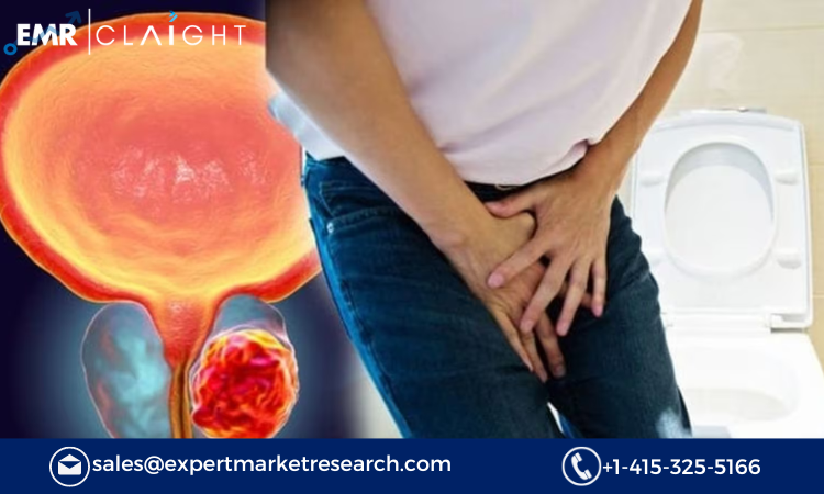 Read more about the article Prostate Health Market Size, Share, Report and Forecast 2024-2032