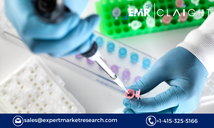 Read more about the article Pyrogen Testing Market Size, Share, Growth Report and Forecast 2024-2032