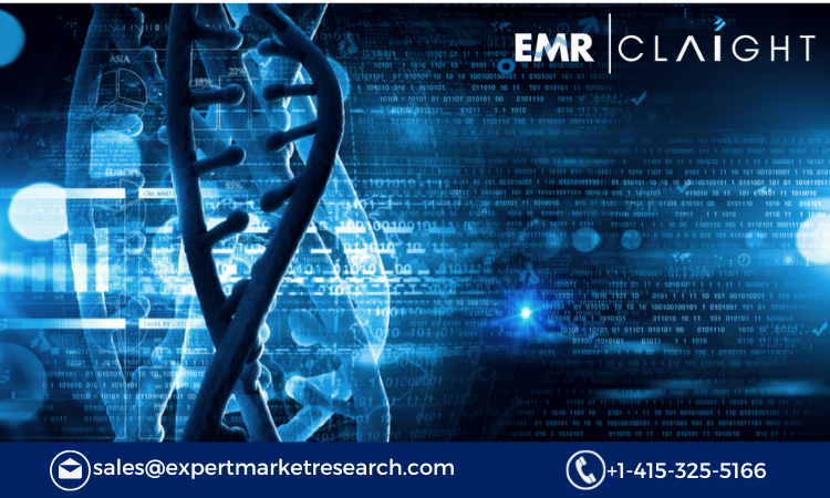 Read more about the article Pyrosequencing Market Size, Share, Growth Report and Forecast 2024-2032