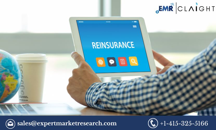 Read more about the article Reinsurance Market Size, Share, Trends, Growth, Report and Forecast 2024-2032