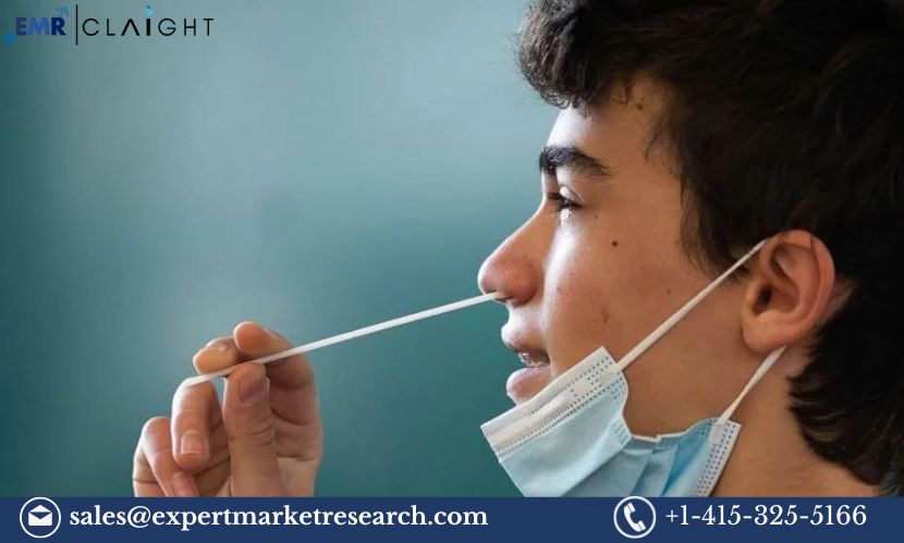 Read more about the article Global Self Testing Market Size, Share, Price, Trends, Growth, Analysis, Report and Forecast 2024-2032