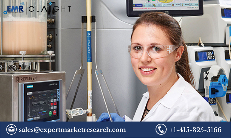 Read more about the article Small Scale Bioreactors Market Report and Forecast 2024-2032