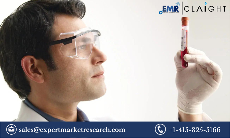 Read more about the article Therapeutic Drug Monitoring Market Report and Forecast 2024-2032