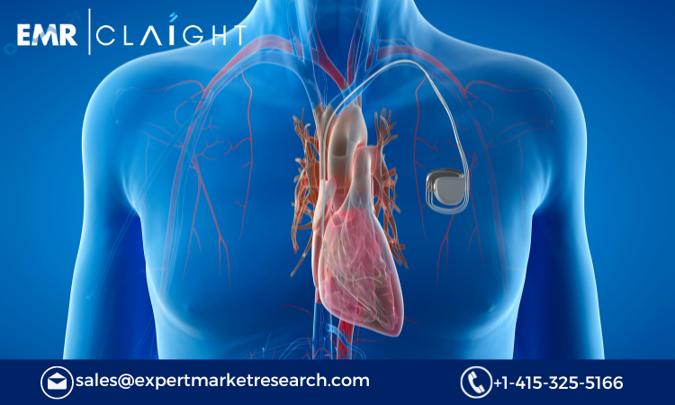 Read more about the article Transcutaneous Pacing Market Size, Share, Growth Report and Forecast 2024-2032