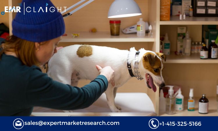 Read more about the article Global Veterinary Scales Market Size, Share, Analysis, Growth, Report and Forecast 2024-2032