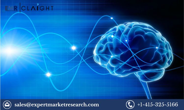 Read more about the article Global Wireless Brain Sensors Market Size, Share, Price, Trends, Growth, Analysis, Report and Forecast 2024-2032