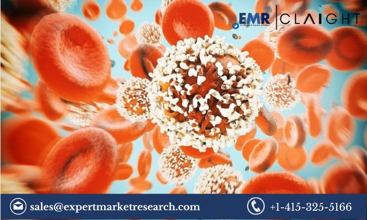 Read more about the article Live Cell Encapsulation Market Size, Share, Report and Forecast 2024-2032