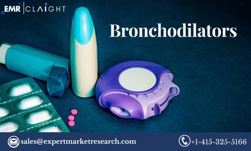 Read more about the article Global Bronchodilators Market Size, Share, Price, Trends, Growth, Analysis, Report and Forecast 2024-2032