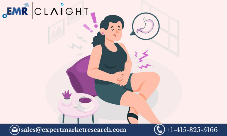 Read more about the article Dysmenorrhea Market Size, Share, Trends, Report and Forecast 2024-2032