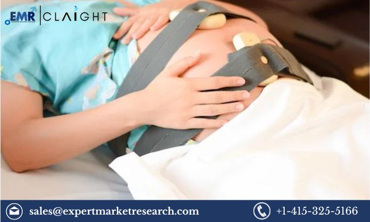 Read more about the article Global Foetal Monitoring Market Size, Share, Price, Trends, Growth, Analysis, Report and Forecast 2024-2032