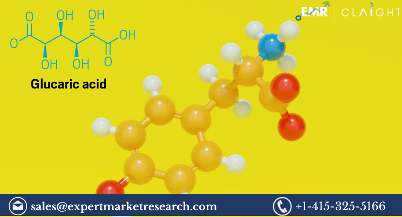 Read more about the article Global Glucaric Acid Market Size, Share, Price, Growth, Analysis, Report and Forecast 2024-2032