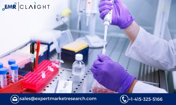 Read more about the article Global Molecular Quality Controls Market Size, Share, Price, Trends, Growth, Analysis, Report and Forecast 2024-2032