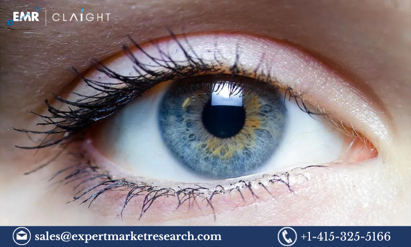 Read more about the article Ophthalmoplegia Market Size, Share, Report and Forecast 2024-2032